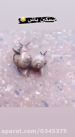 خنده دار حلزون