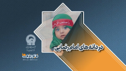 دردانه های امام رضایی