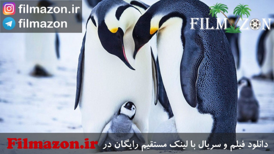 تریلر فیلم Snow Chick - A Penguin's Tale 2015 زمان95ثانیه