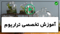 آموزش ساخت تراریوم-تراریوم کاکتوس-تراریوم- آموزش ساخت تراریوم فانتزی