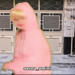 ۳. سرنا / سرنا امینی / پریسا پ...