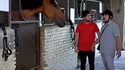 سریال تردید قسمت ۵