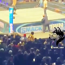 ترس رومن رینز از جانسینا