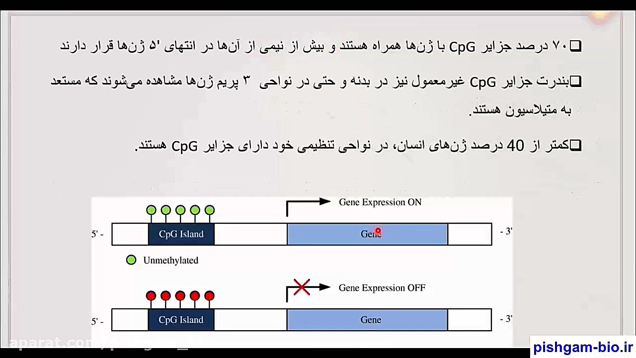 فیلم آموزش جامع طراحی پرایمر برای بررسی متیلاسیون در ژن ها به زبان فارسی رادیو اینترنتی
