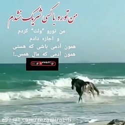 کلیپ غمگین من تورو با کسی شریک...