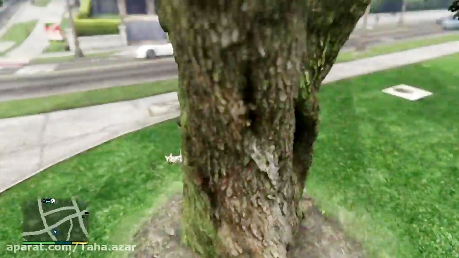 درخت عجیب در جی تی ای ۵