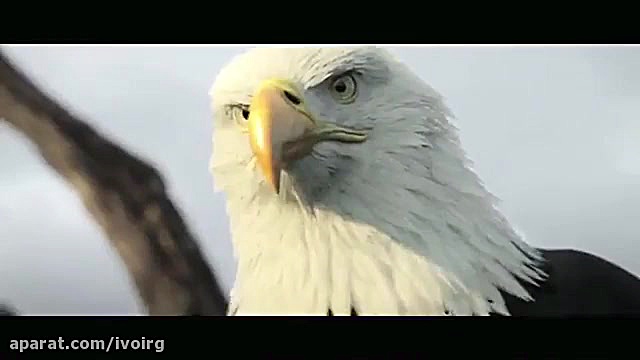 تریلر اساسینز کرید ۳ از گیمری ما رتروگناتیا