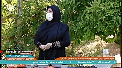 آموزش پخت " قیمه بادمجان نذری " - شیراز