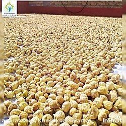 فروشگاه خشکبار آنلاین
