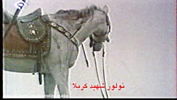 پیغمبر اوغلی جان ورور علی نقوی