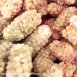 توت درجه یک مشهدی