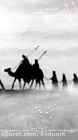 استوری جدید محرم 1400 حضرت زین...