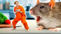 مشکلات کوچولو شدن