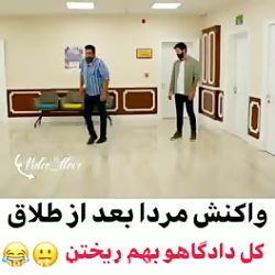 ستاره شمالی