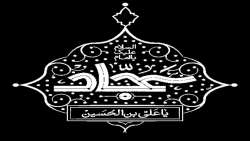 کلیپ استوری شهادت امام سجاد (ع)