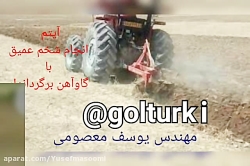 فروش نهال گل محمدی ۰۹۱۴۸۲۸۶۳۴۱