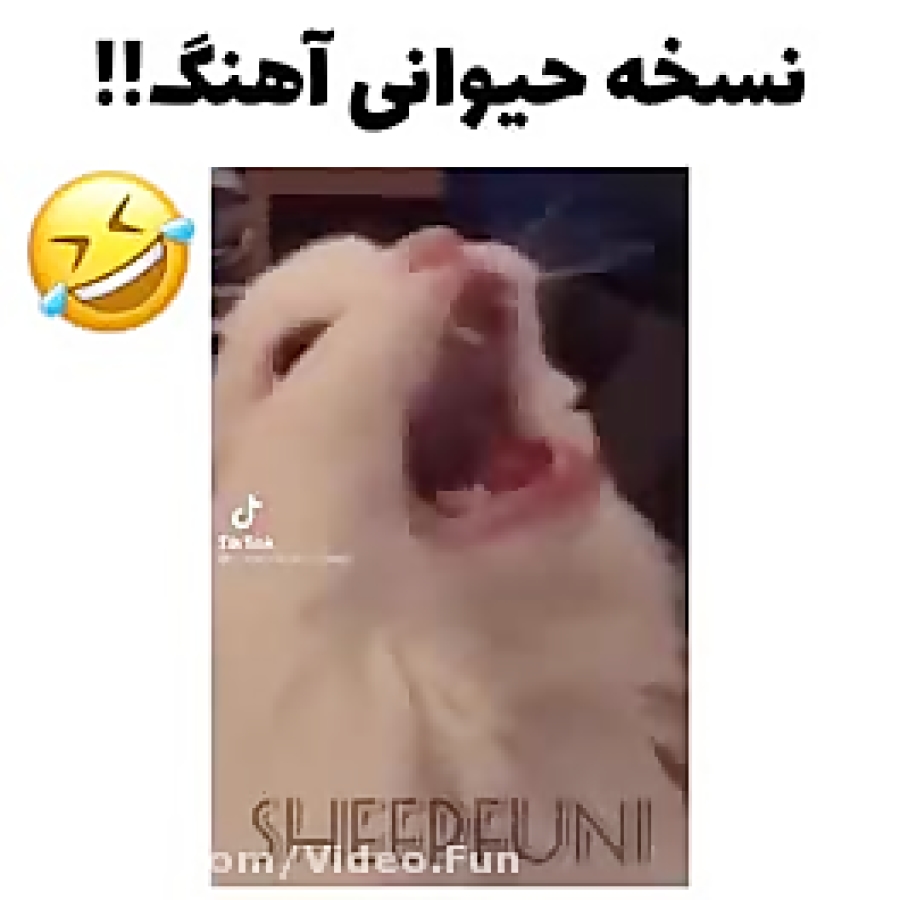 فیلم خنده دار