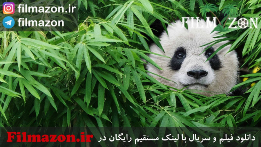 تیزر فیلم Pandas: The Journey Home 2018 زمان48ثانیه