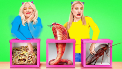 چالش جعبه مرموز