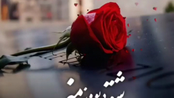 استوری عاشق دیوونه منم