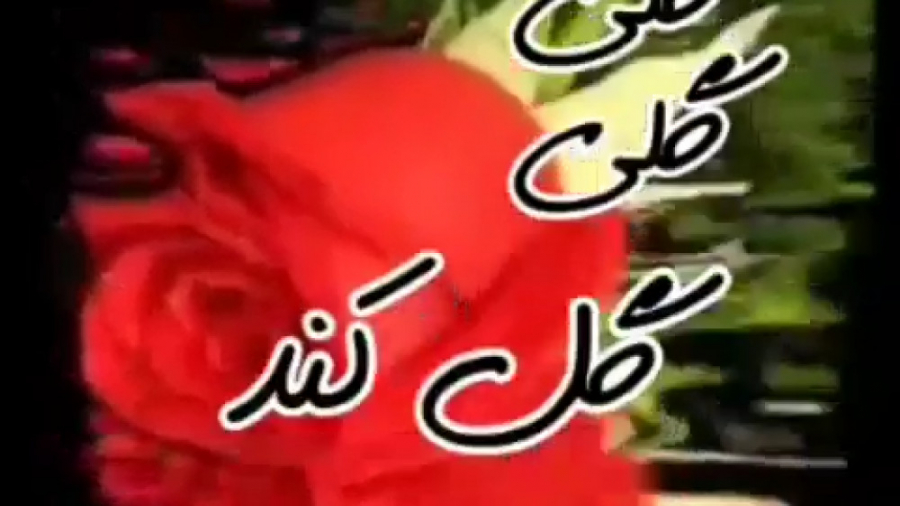 موزیک شاد || انرژی مثبت || کلیپ شاد عاشقونه || از همان روز عاشقت هستم زمان32ثانیه
