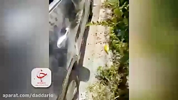 دزدی و تخریب ماشین خانم بازیگر