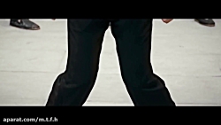 فیلم ایپ من استاد کونگ فو ( دو...