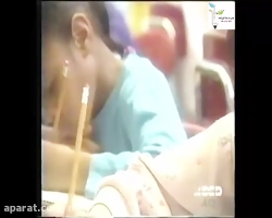 نظریه هوش های چندگانه