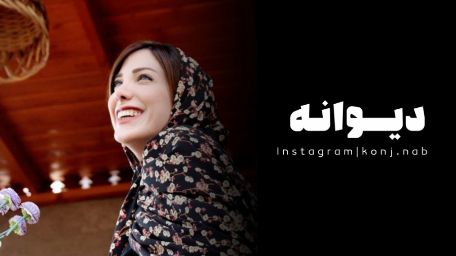 دیوانه چو دیوانه ببیند خوشش آید! کـنج نـاب