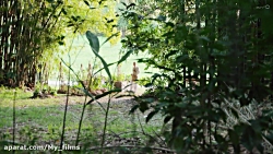 سریال نه غریبه کامل Nine Perfe...