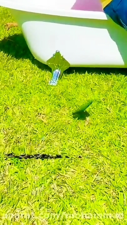 دیانا و روما  دیانا روما  دیان...