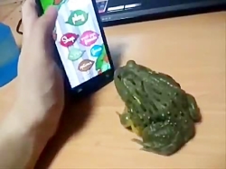 قورباغه