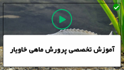 آموزش پرورش ماهی خاویار-پرورش انواع ماهی-سرمایه گذاری و مدارک مورد نیاز
