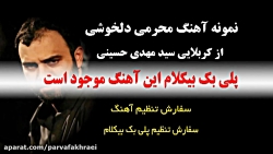 پلی بک آهنگ محرمی دلخوشی از سید مهدی حسینی ویژه محرم