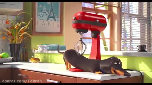 پیش نمایش انیمیشن The Secret Life of Pets 2016 زمان226ثانیه