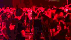 مداحی معروف حاج محمود کریمی