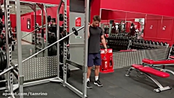 جلو بازو تک دست برعکس لند ماین