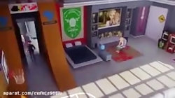 کارتون دختر کفشدوزکی دوبله فار...