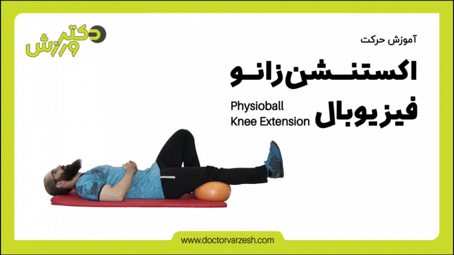 اکستنشن زانو فیزیوبال ایکلوزوماب