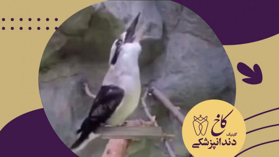 نحوه صحیح قرقره کردن آب نمک برای جلوگیری از ابتلا به ویروس کرونا کلینیک دندانپزشکی کاخ