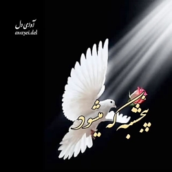 کلیپ پنجشنبه های دلتنگی .دلنوش...