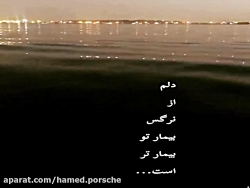 محمدرضا شجریان - دلم از نرگس بیمار تو بیمارتر است ...