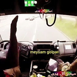 میثم گل پری عملیات نجات