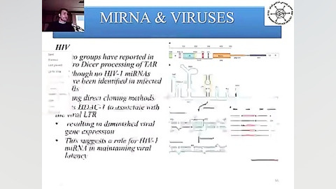 miRNA siRNA سخنرانی ماهانه انجمن ویروس شناسی ایران ماکروسفالی