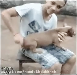 ماشین کوکی قدمیا(: