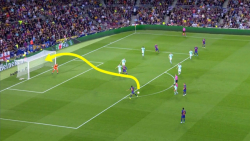 دیدنی‌ترین گل‌هایی که به شکل و...