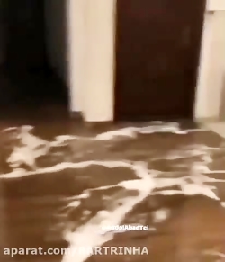 سوپر فیلم خنده دار فالو=فالو