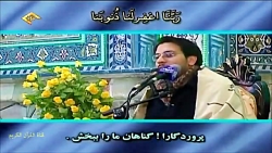 حامد شاکر نژاد