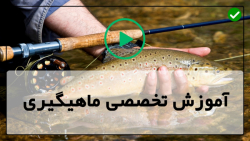 آموزش ماهیگیری-ماهیگیری با قلاب دست-ماهیگیری-تعقیب خارماهی پیش از تخم ریزی