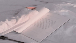 حست ب وید چی بید!؟